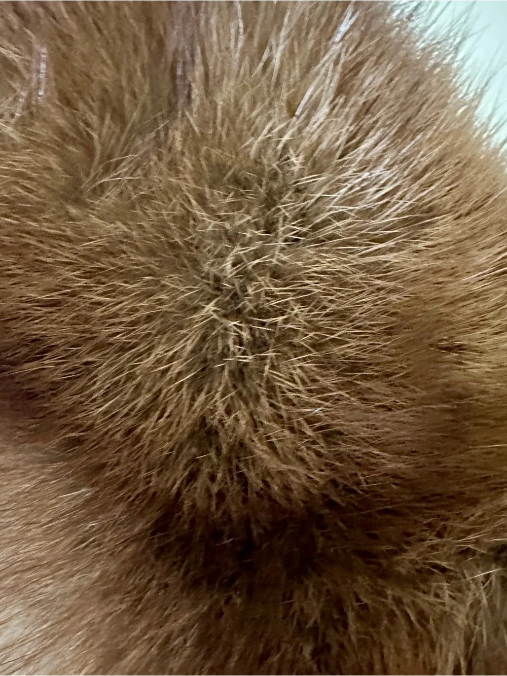 Classic Brown Mink Fur Collar - Luxurious Women’s Accessory